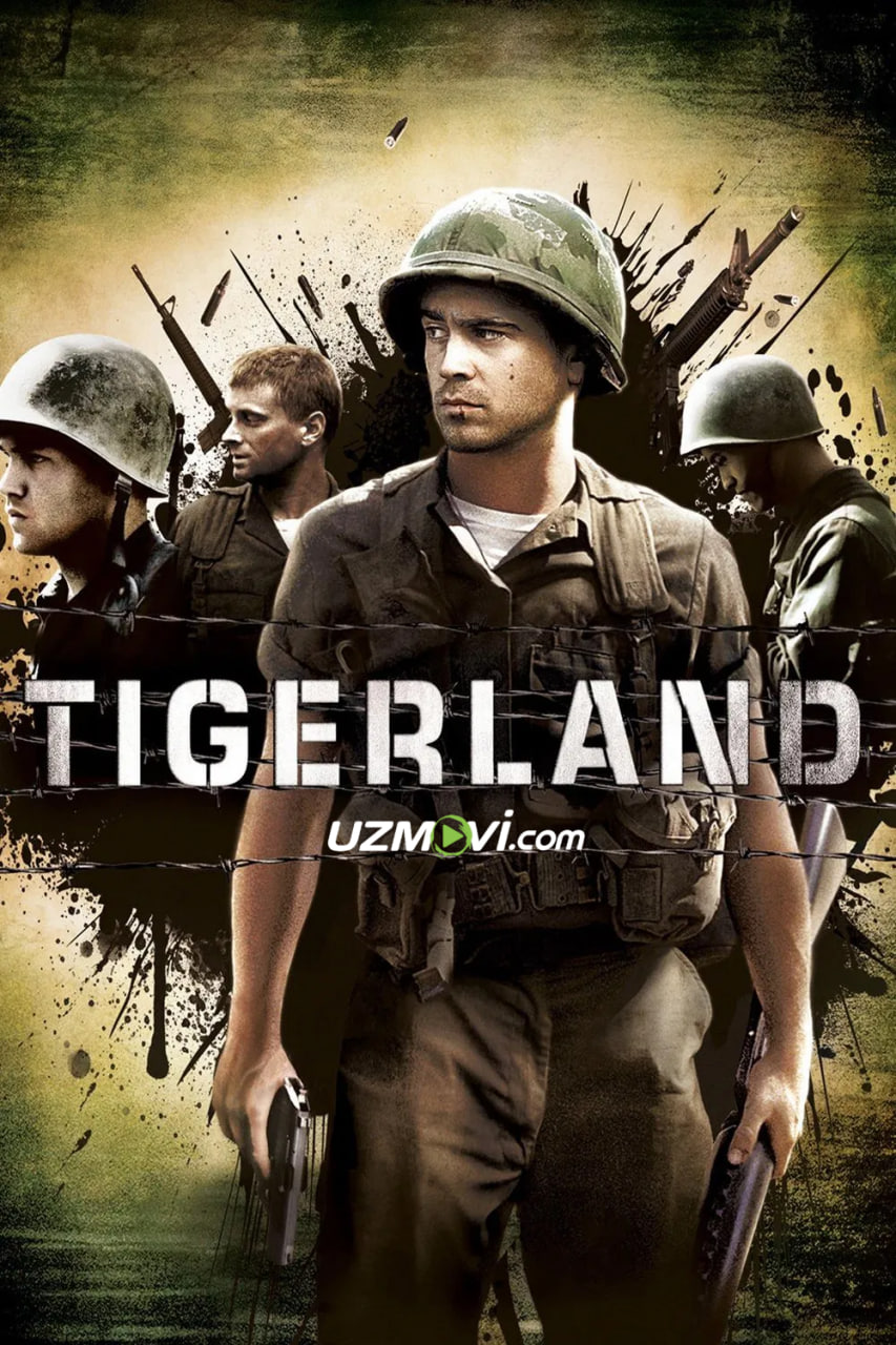 Yo'lbarslar vodiysi / yurti