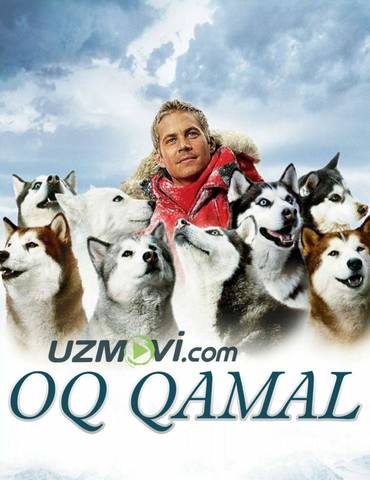Oq qamal | Sakkiz tutqun